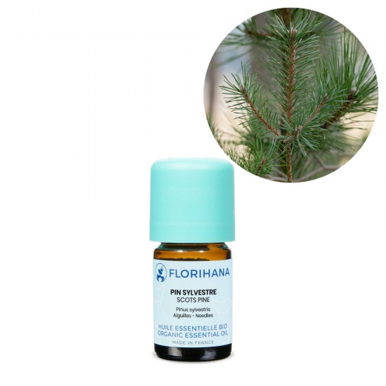 Pin Silvestru Organic Pin Silvestru Organic